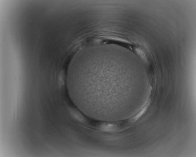 X0000115370174200911101253