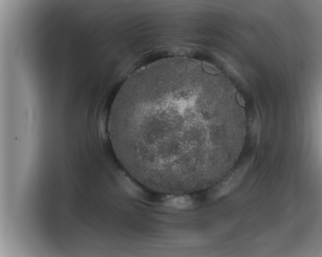 X0000115370185200911101253
