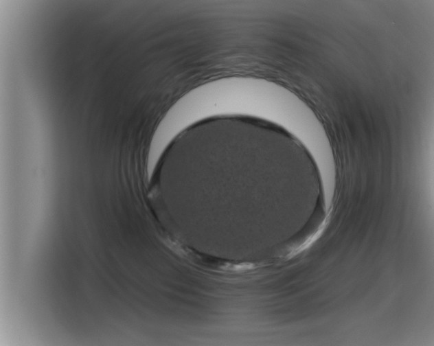 X0000115370186200911101253