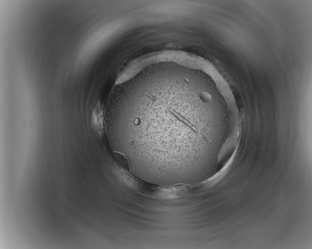 X0000115370190200911101253