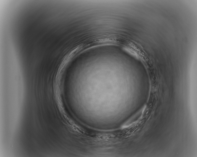 X0000115370193200911101253