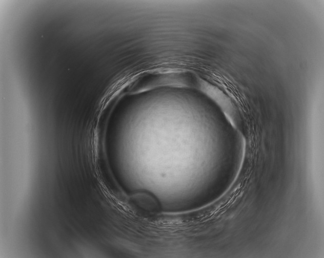 X0000115370194200911101253