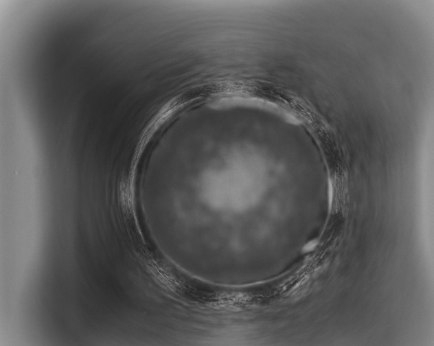 X0000115370195200911101253