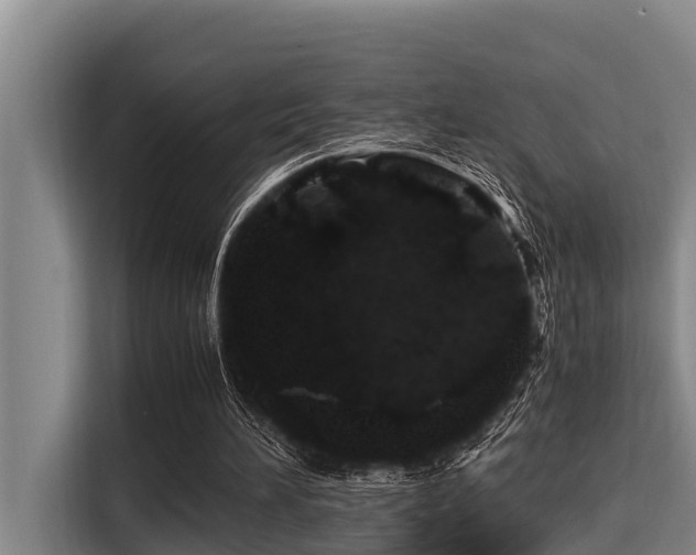 X0000115370196200911101253