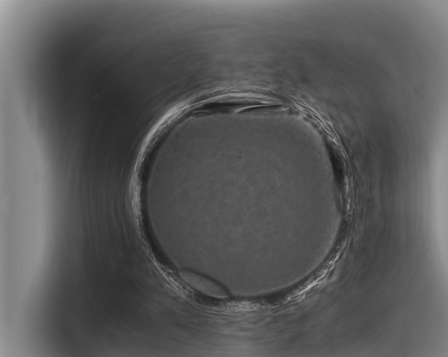X0000115370197200911101253