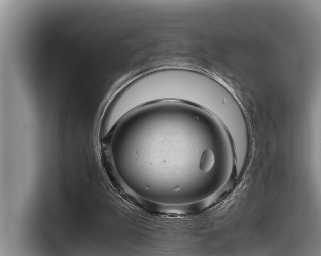 X0000115370199200911101253