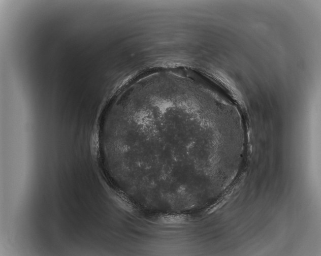 X0000115370202200911101253