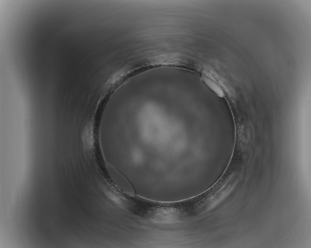 X0000115370203200911101253