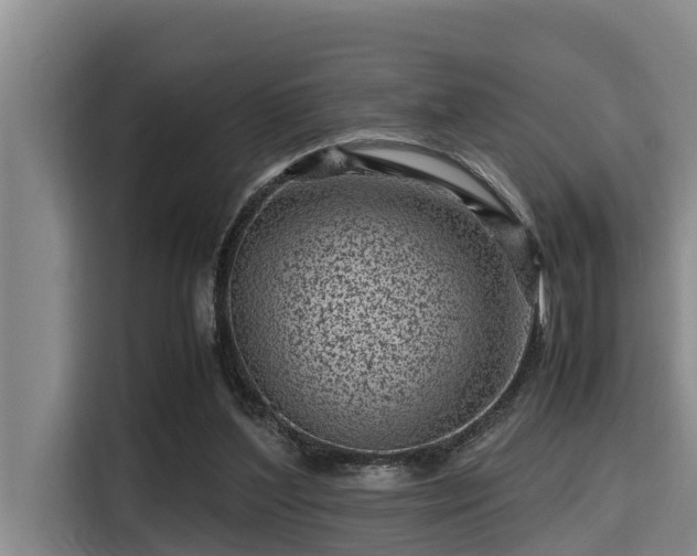 X0000115370204200911101253