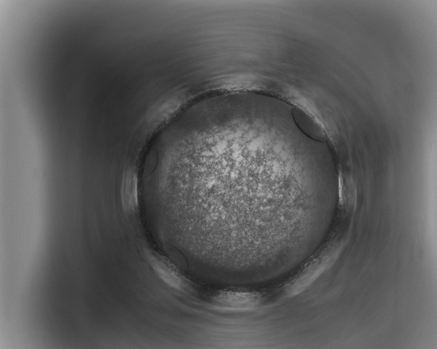 X0000115370205200911101253