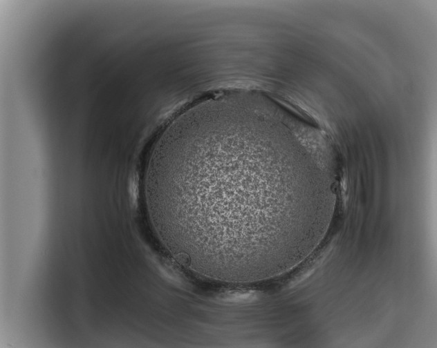 X0000115370206200911101253