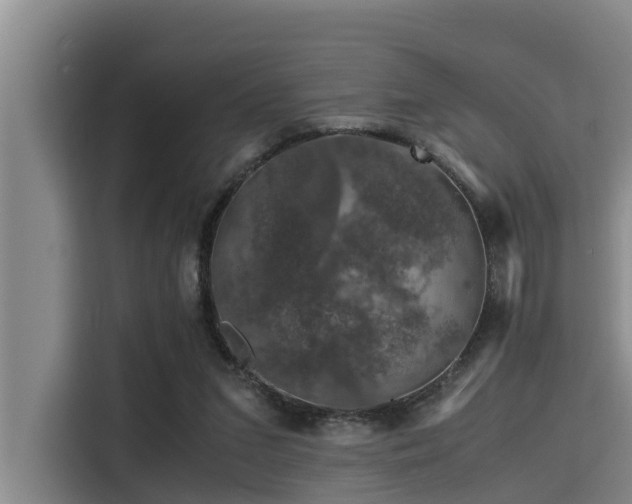 X0000115370207200911101253