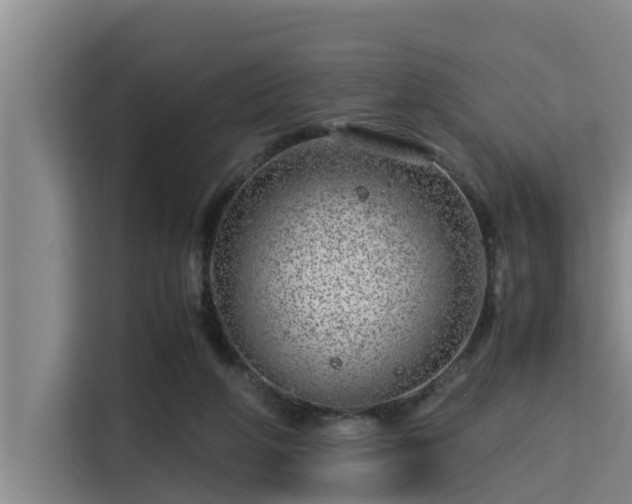 X0000115370210200911101253