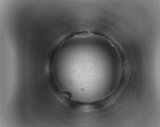 X0000115370212200911101253
