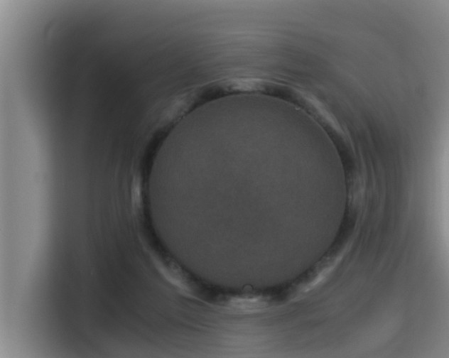 X0000115370213200911101253