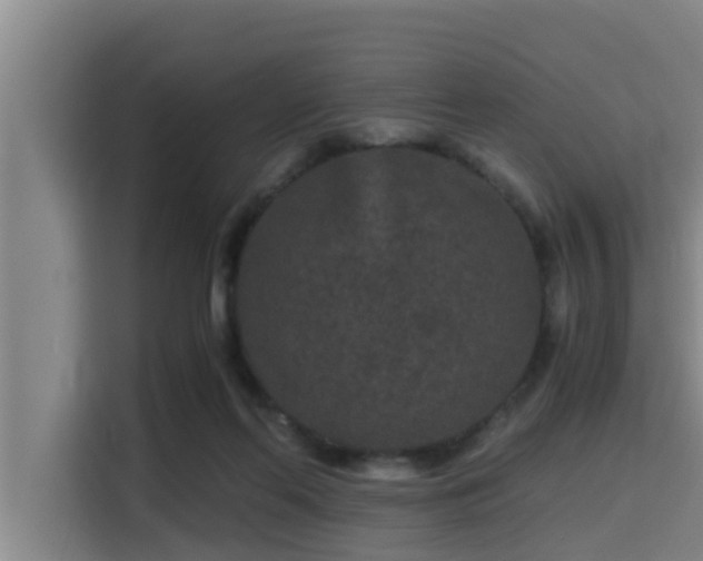 X0000115370214200911101253