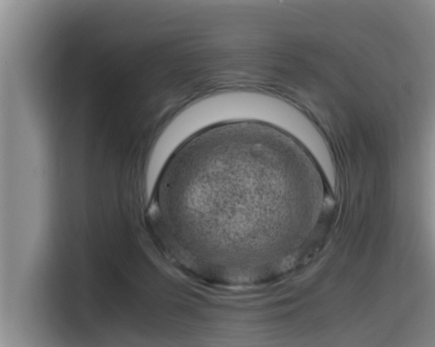X0000115370215200911101253