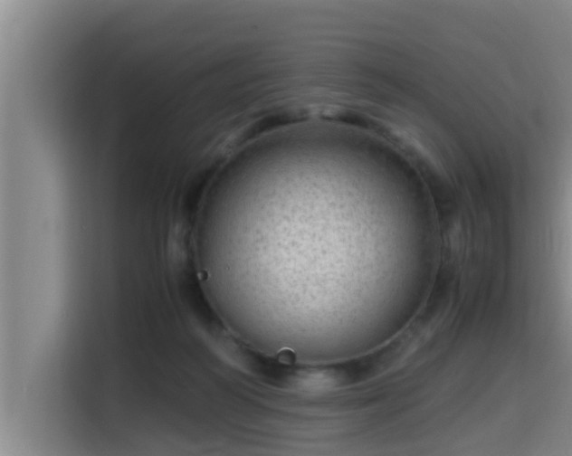 X0000115370218200911101253