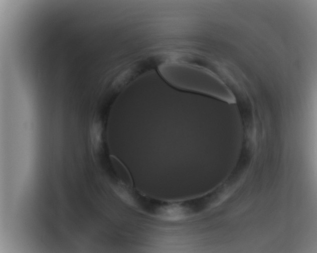 X0000115370219200911101253