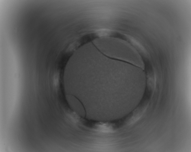 X0000115370221200911101253