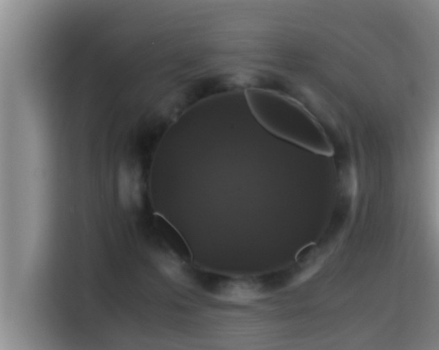 X0000115370223200911101252