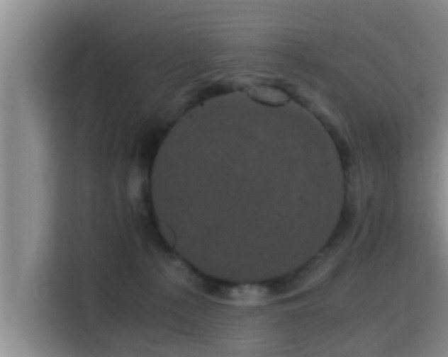 X0000115370225200911101252