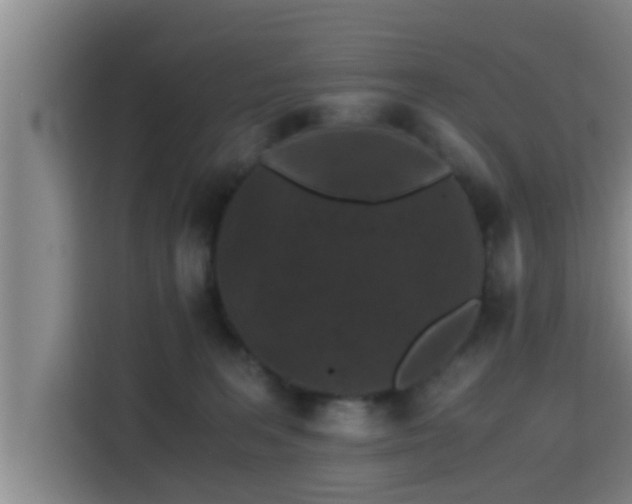 X0000115370227200911101252