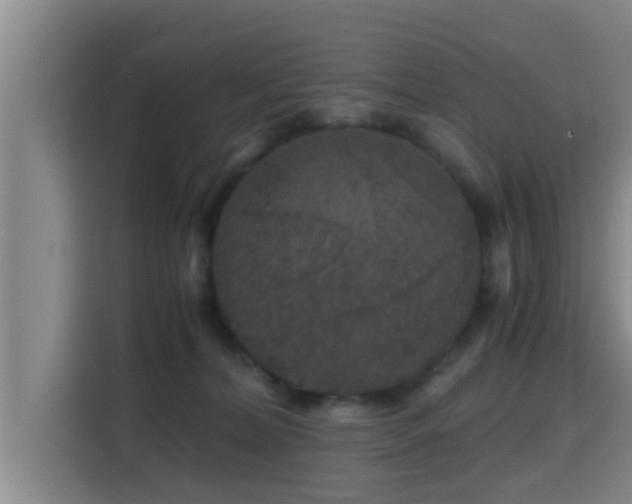 X0000115370228200911101252