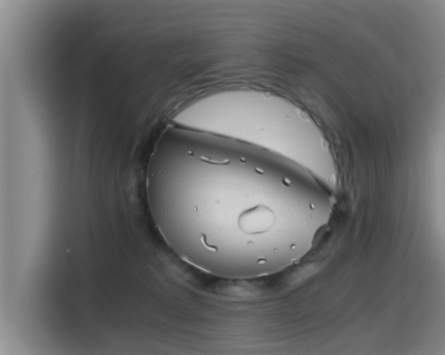 X0000115370229200911101252