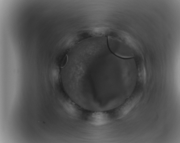 X0000115370231200911101252