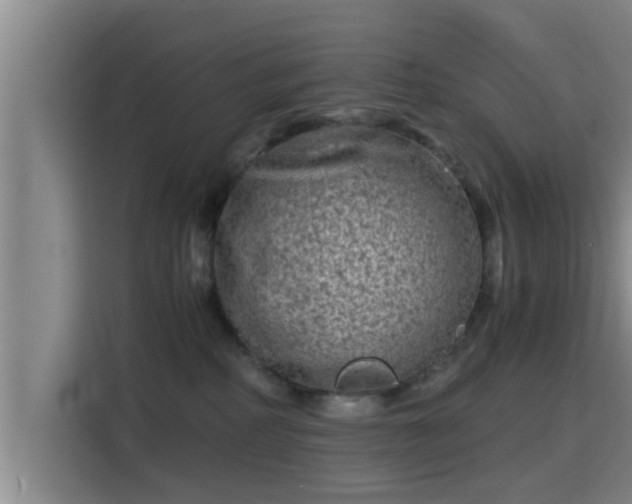 X0000115370234200911101252