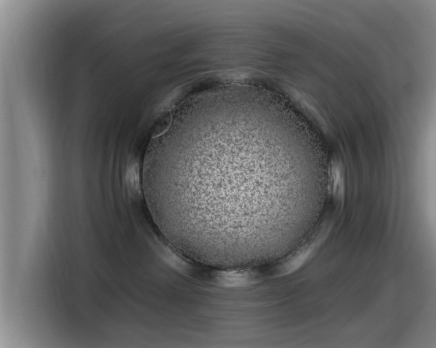 X0000115370238200911101252