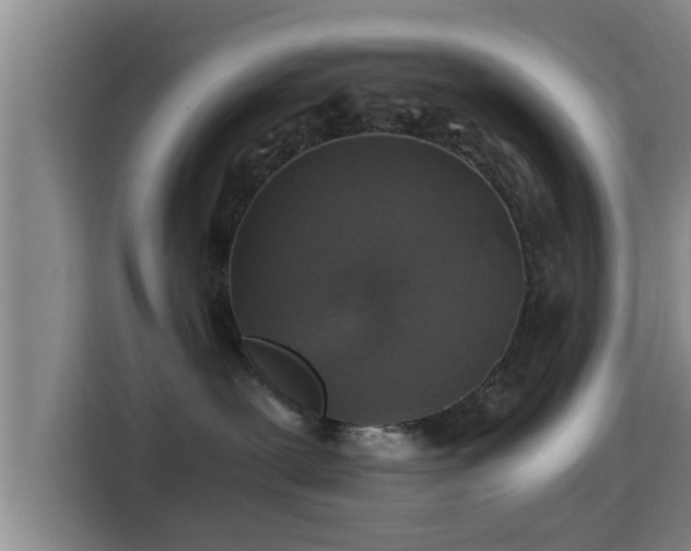 X0000115370239200911101252
