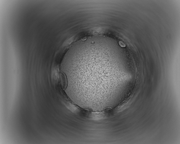 X0000115370240200911101252