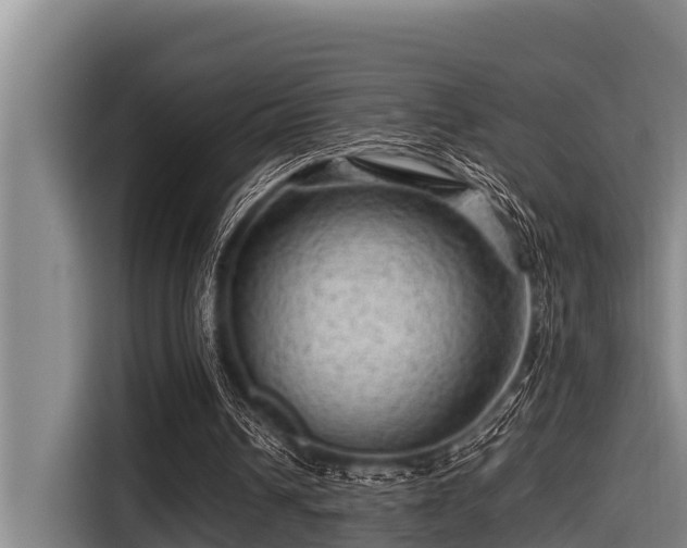 X0000115370242200911101252