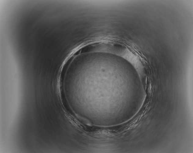 X0000115370244200911101252