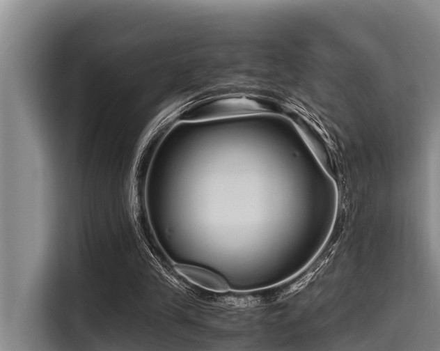 X0000115370245200911101252