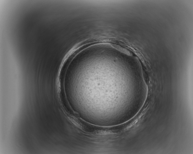 X0000115370246200911101252