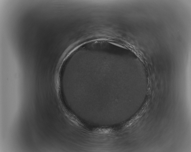X0000115370247200911101252