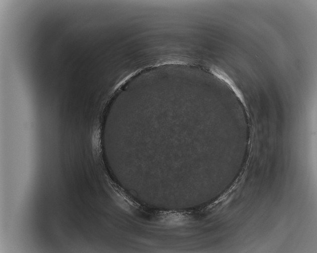 X0000115370249200911101252
