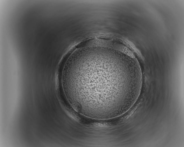 X0000115370250200911101252