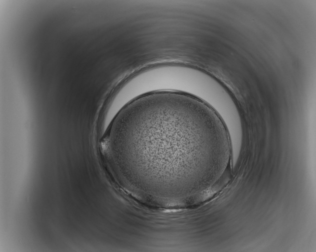 X0000115370252200911101252