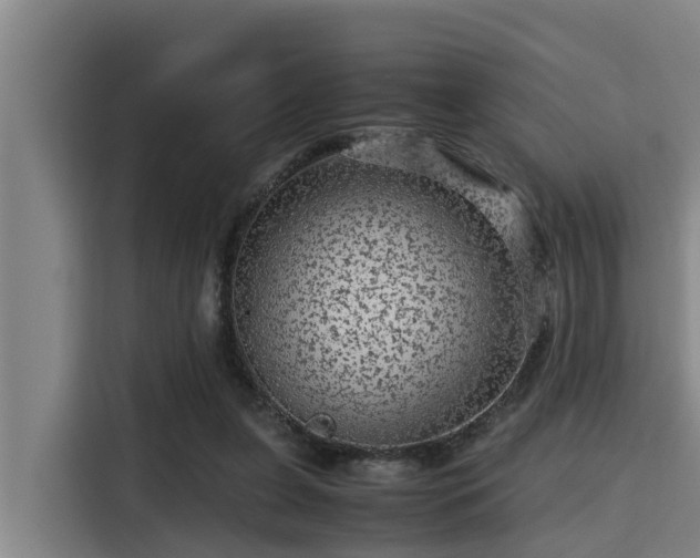 X0000115370255200911101252