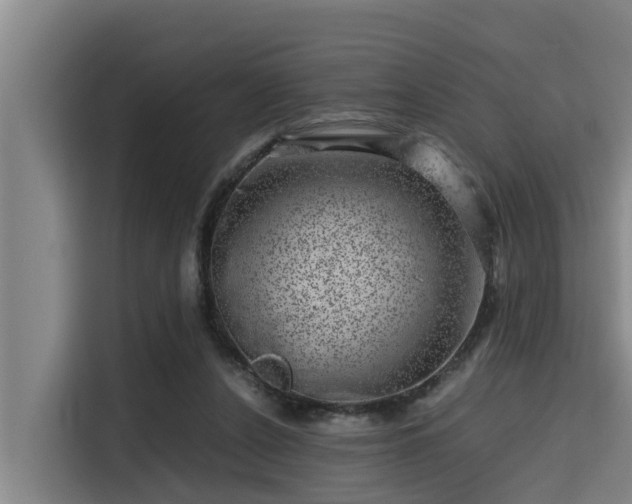 X0000115370256200911101252