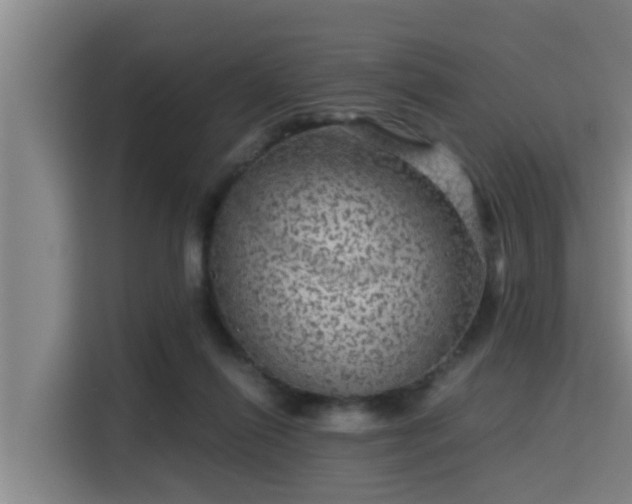 X0000115370262200911101252