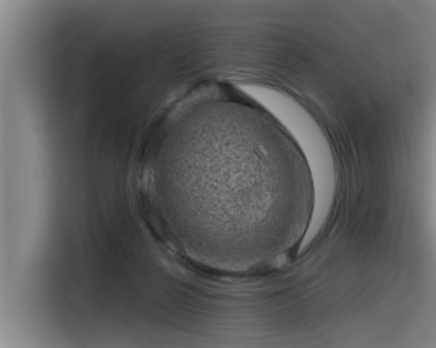 X0000115370264200911101252