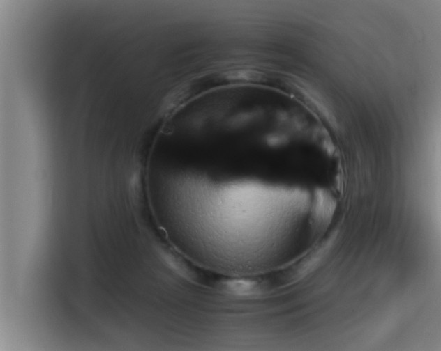 X0000115370265200911101252