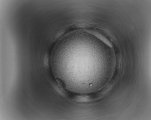 X0000115370266200911101252