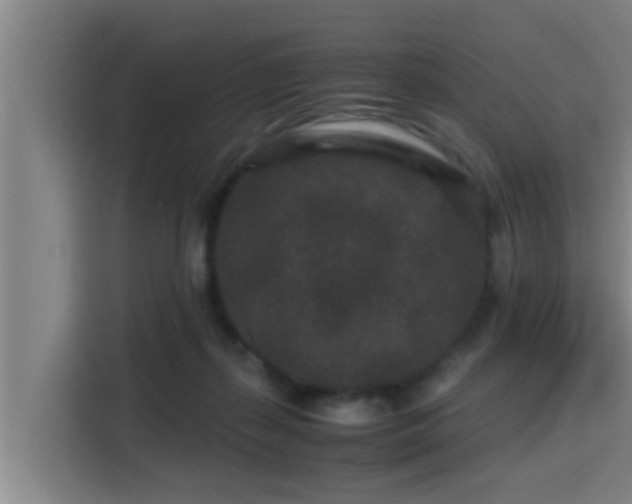 X0000115370267200911101252