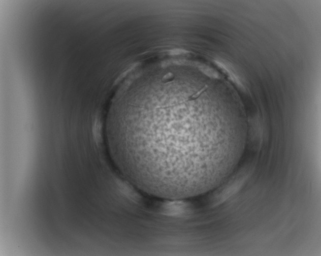 X0000115370269200911101252